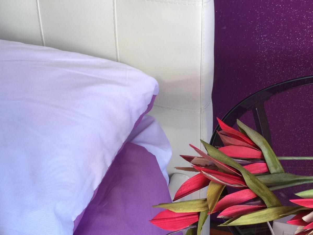 Le Ortensie In Centro E Vicino Al Mare بيسكارا المظهر الخارجي الصورة